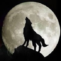 Avatar du membre
