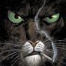 Avatar du membre