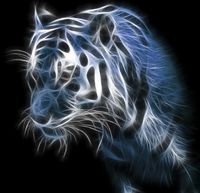 Avatar du membre