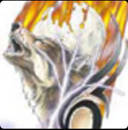 Avatar du membre