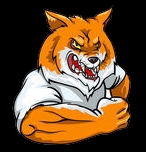 Avatar du membre