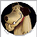 Avatar du membre