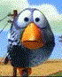 Avatar du membre