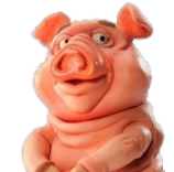 Avatar du membre