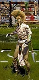 Avatar du membre