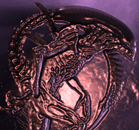 Avatar du membre